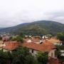 Bosilegrad (6)